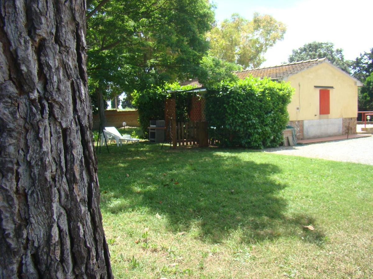 Casa Vacanze Guardamare San Vincenzo Zewnętrze zdjęcie