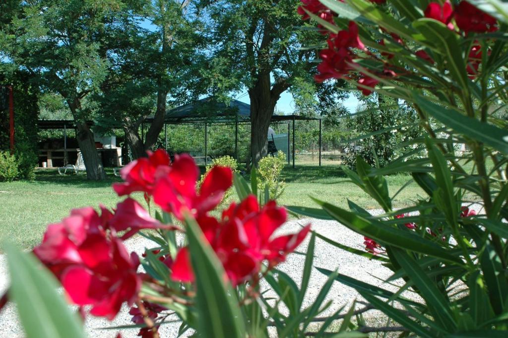 Casa Vacanze Guardamare San Vincenzo Zewnętrze zdjęcie