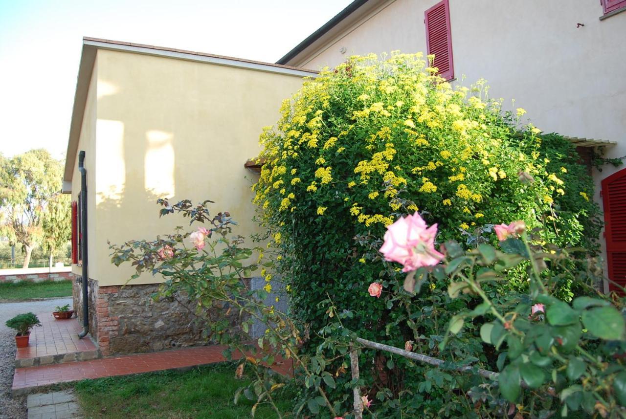 Casa Vacanze Guardamare San Vincenzo Zewnętrze zdjęcie